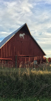Horse Ranch